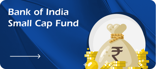 smallCapFund